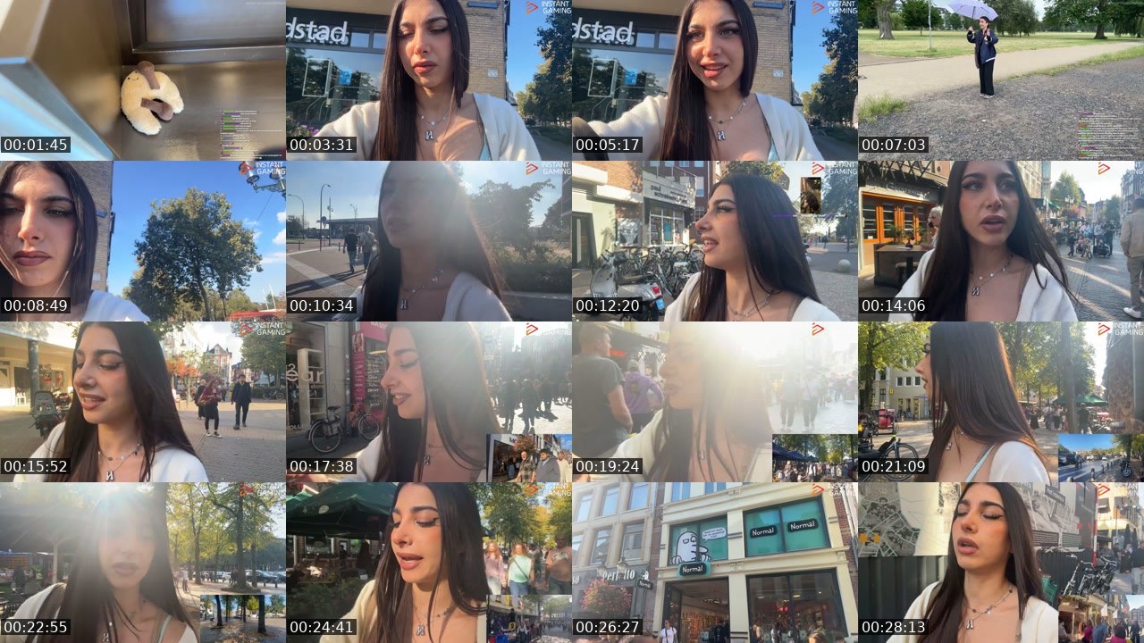 Contact-sheet preview of Naschiitaschii's Twitch recording