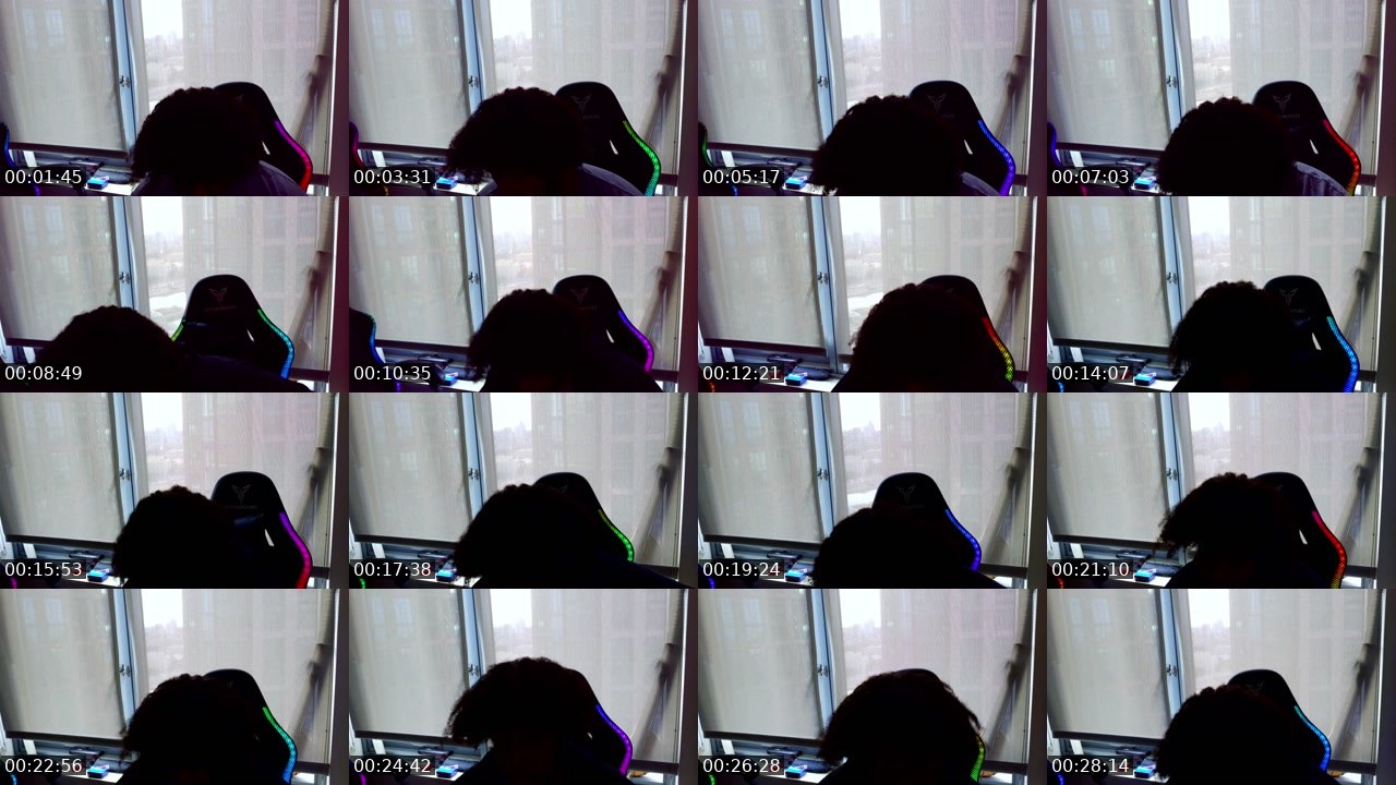 Contact-sheet preview of Nigaut0's Twitch recording