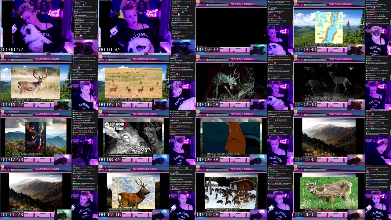Contact-sheet preview of neurodetergent's Twitch recording