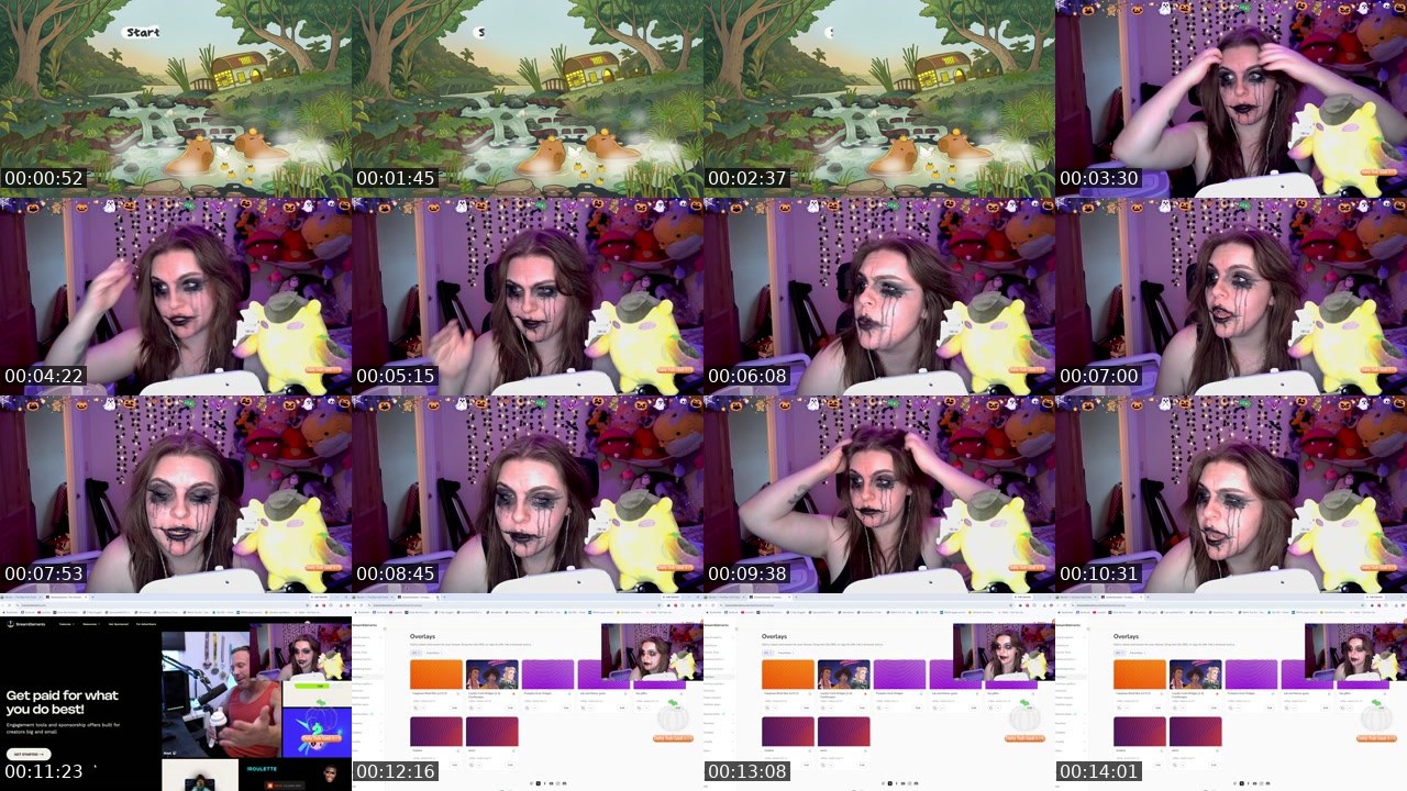 Contact-sheet preview of ilovecapybarasssss's Twitch recording