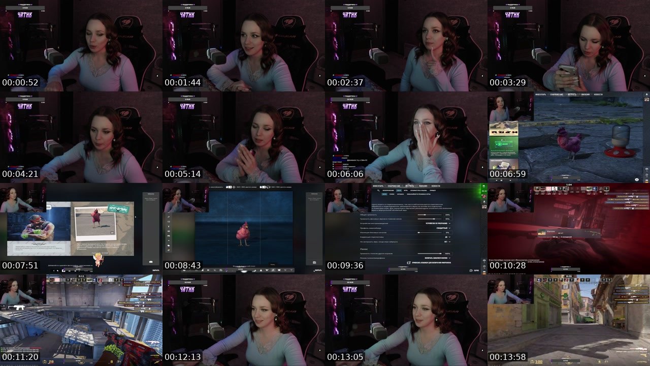 Contact-sheet preview of pizzavika's Twitch recording