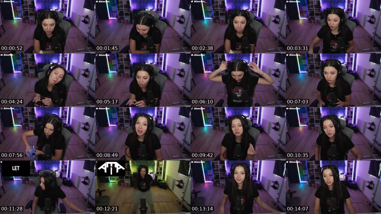 Contact-sheet preview of Bisscute's Twitch recording