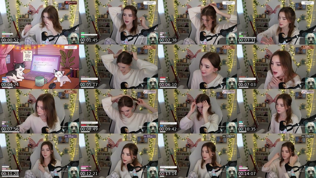 Contact-sheet preview of hollsbeauti's Twitch recording