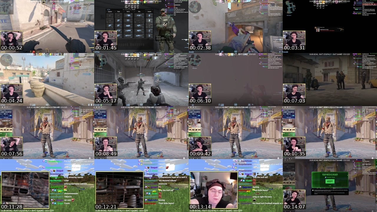 Contact-sheet preview of Ashly113's Twitch recording