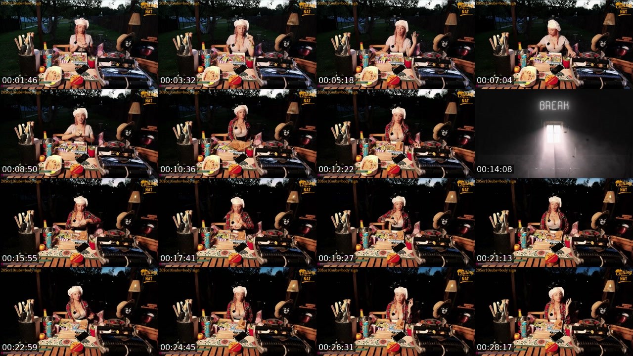 Contact-sheet preview of krypto_nat's Twitch recording