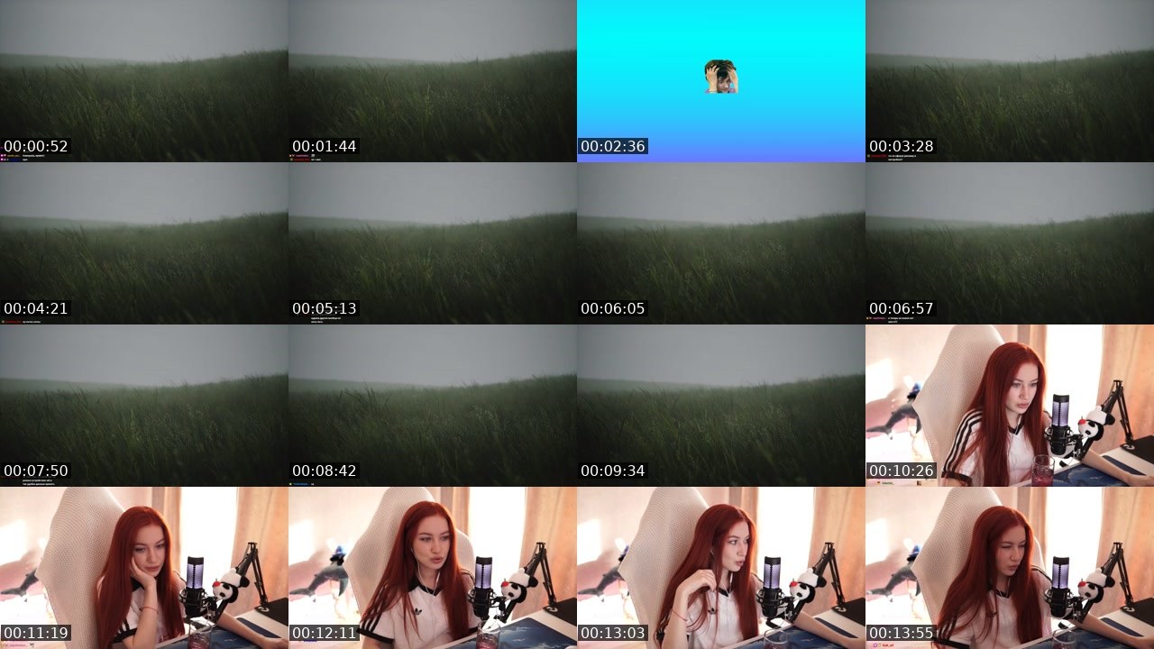 Contact-sheet preview of MissAlina23's Twitch recording