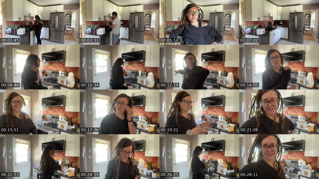 Contact-sheet preview of AlyssaWilds's Twitch recording